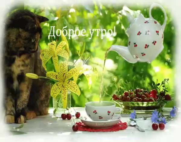 С добрым летним утром гиф