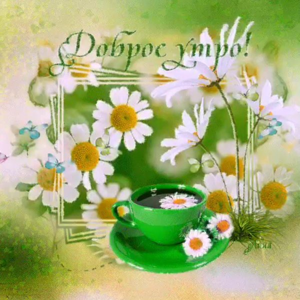 Открыточку с добрым утром летнюю