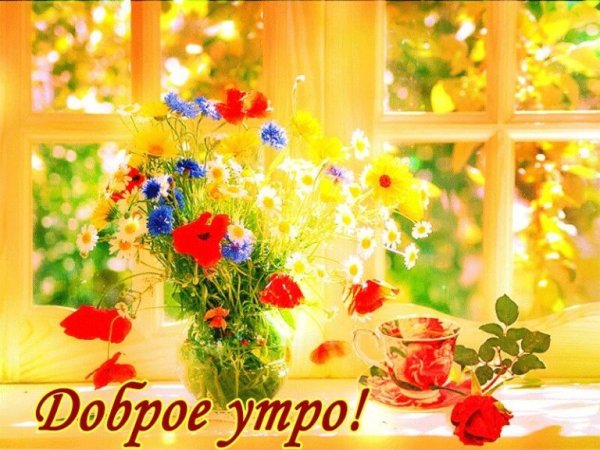 С добрым летним утром