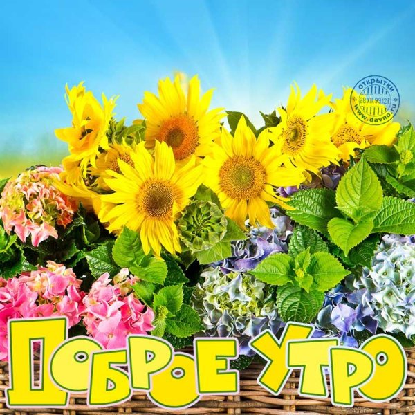 Яркий Солнечный день