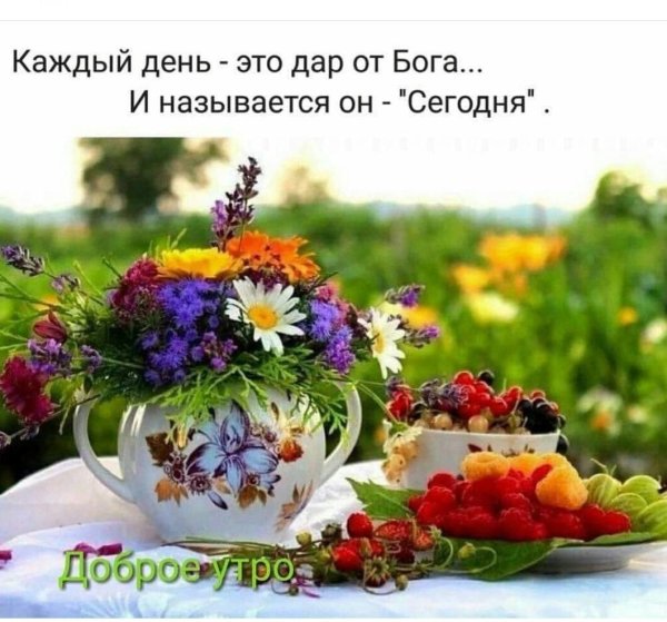 Пожелания с добрым летним утром