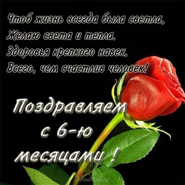Поздравление с 6 месяцами