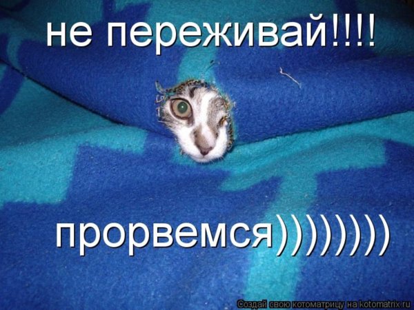 Не переживай картинки