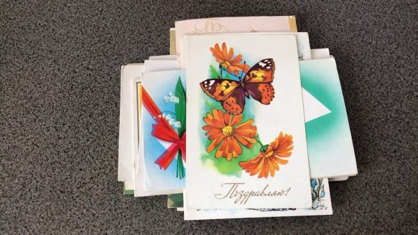 Коты Ирины Зенюк с 1 апреля