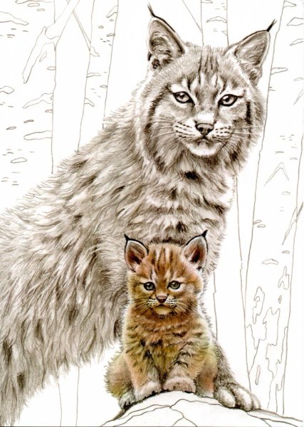 Магазин открыток для посткроссинга