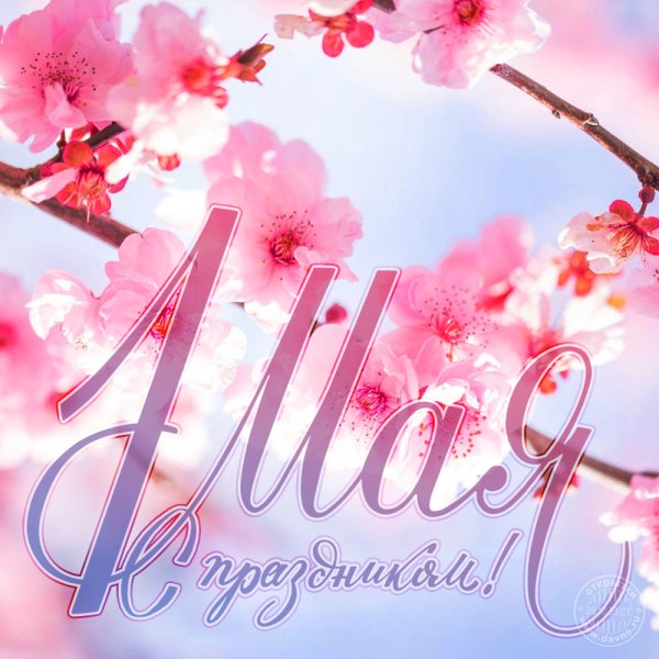 Открытки с 1 мая