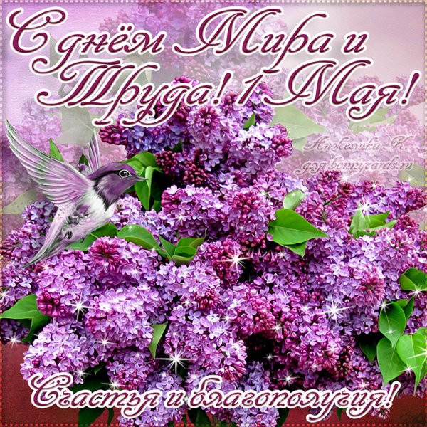 С днем международной солидарности трудящихся Первомай в СССР