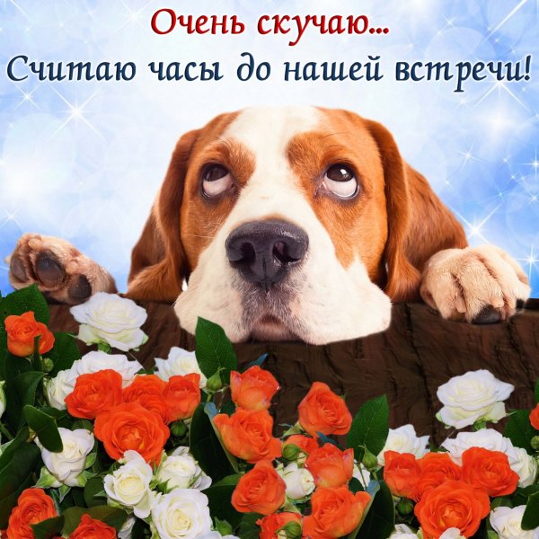 Скучаю по тебе