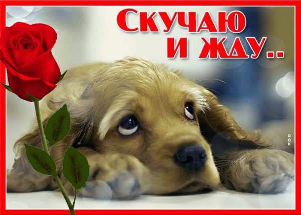 Открытки я скучаю по тебе