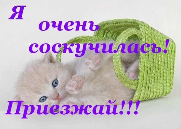 Открытка скучаю