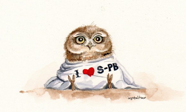 Милые открытки с совами