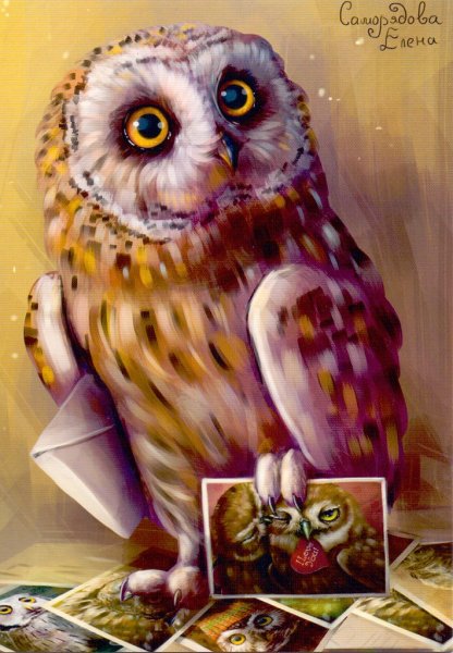 Совы Елены Саморядовой