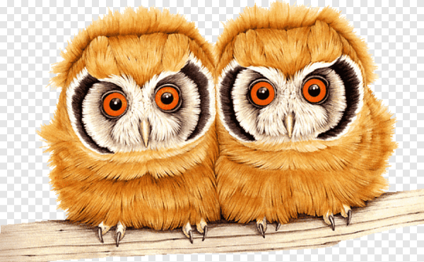 Совиное настроение