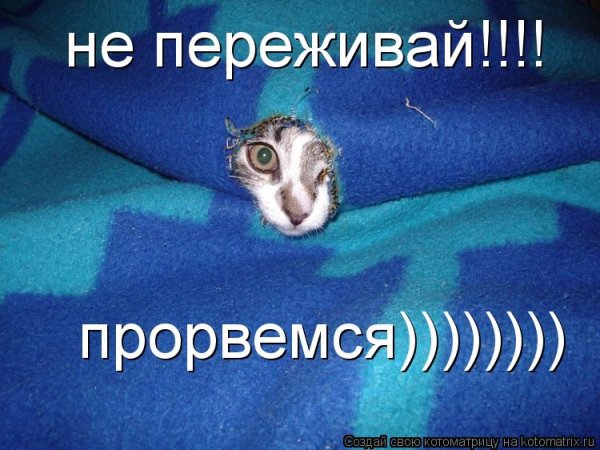 Не переживай картинки