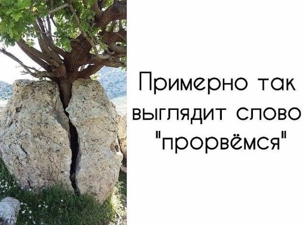 Вот выглядит слово Прорвемся