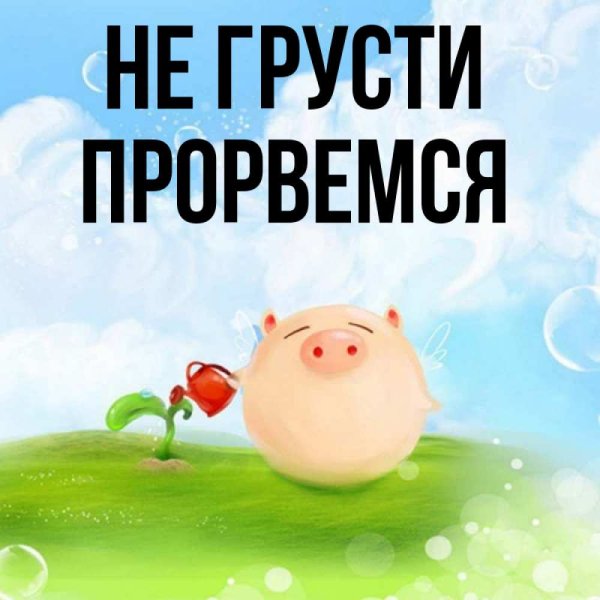 Шуточные открытки все живы и здоровы