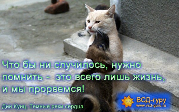 Открытка все будет отлично Прорвемся