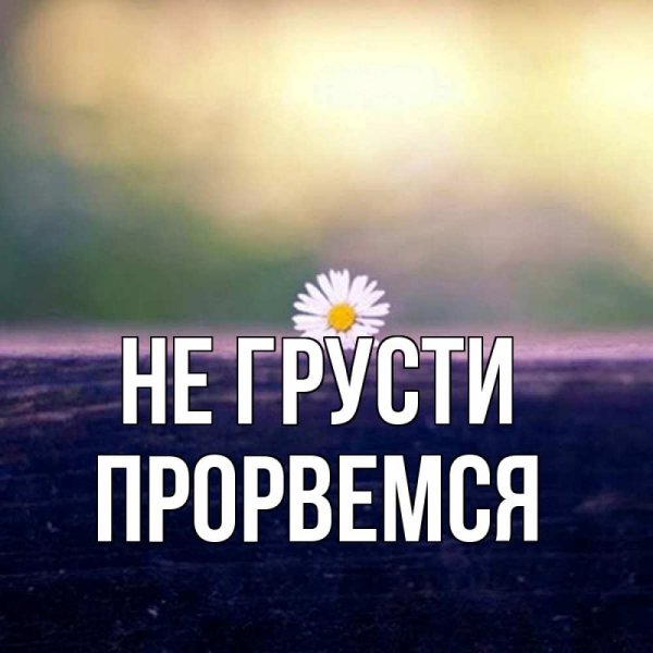 Открытки с синими котами приколами и надписями