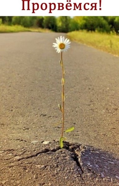 Открытка держись