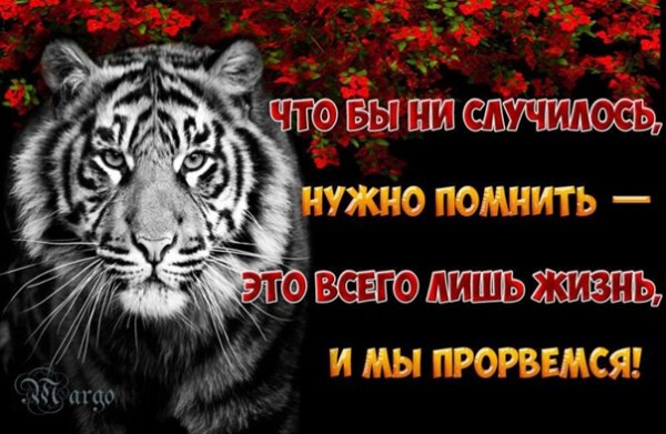 Каска Военная смешная