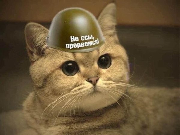 Я сильная но задолбалась