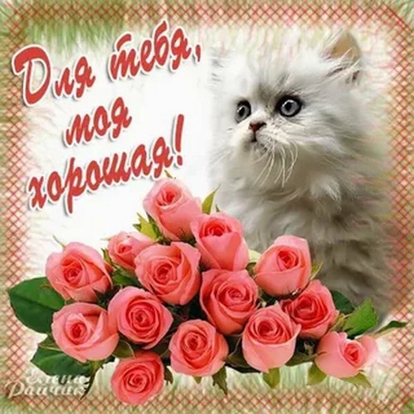 С днём рождения лпночка