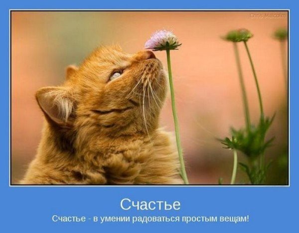 Мотиватор хорошего настроения