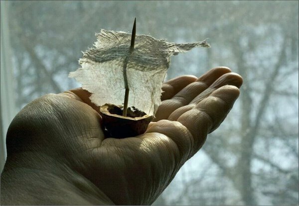 Картинки мотиваторы