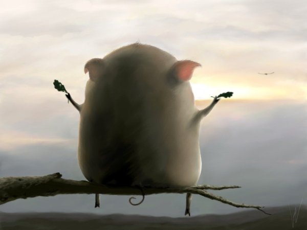 Позитивные мотиваторы прикольные