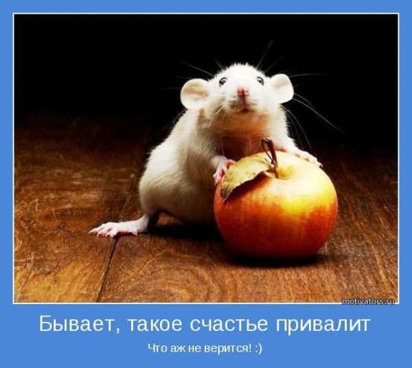 Счастье мотиватор