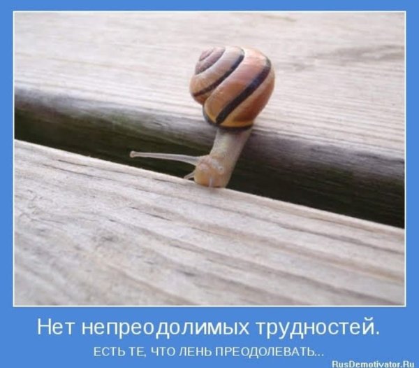 Мотиватор для жизни