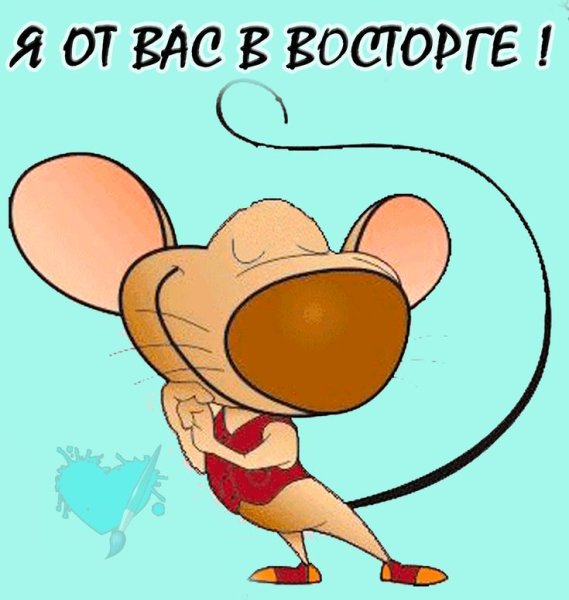 Я В восторге от тебя