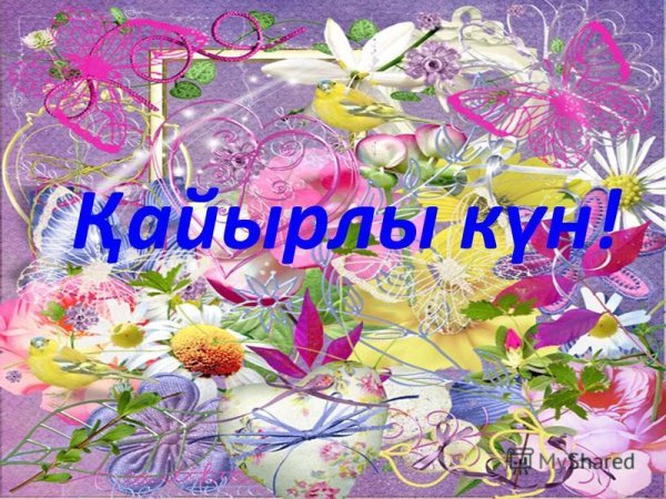 Қайырлы күн картинки
