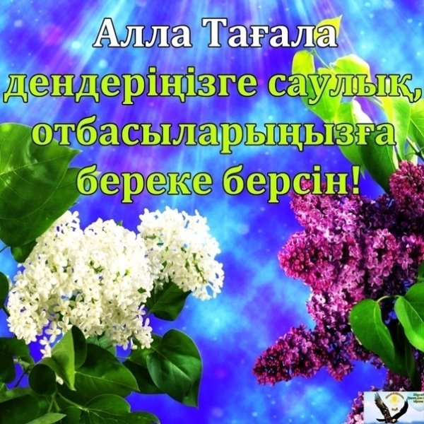 Қайырлы таң картинки