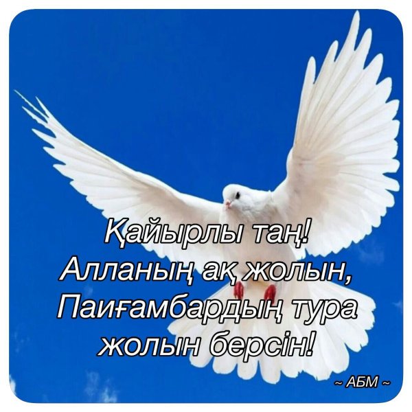 Кайырлы Тан открытки