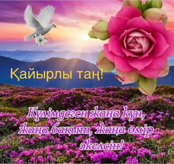 Кайырлы Тан открытки