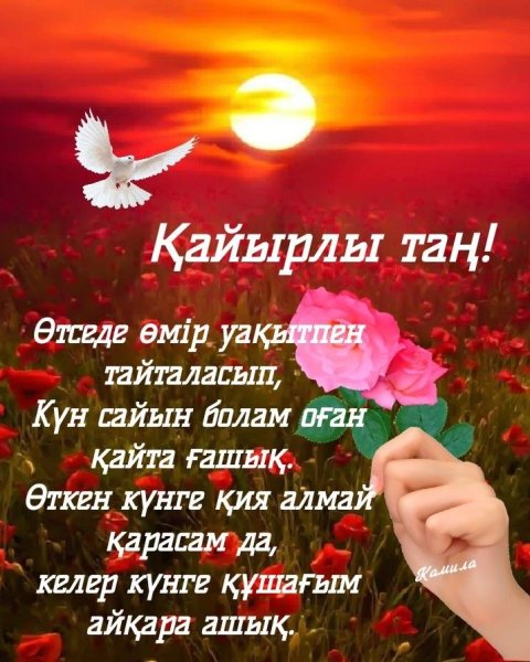 Кайырлы Тан открытки