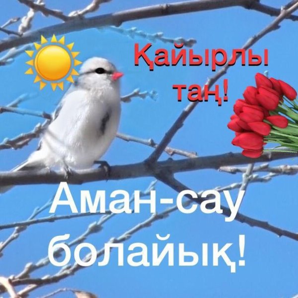 Кайырлы кун на казахском языке