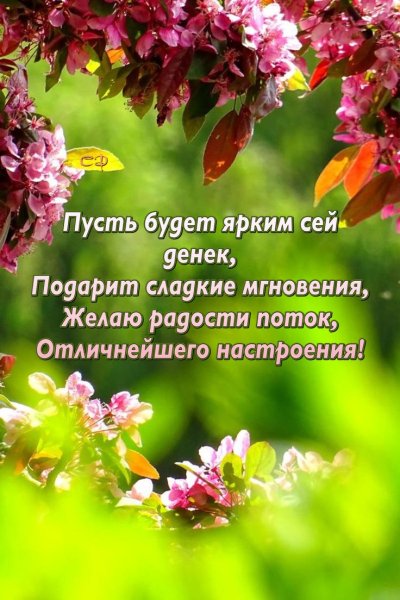 Қайырлы таң открытки красивые новые