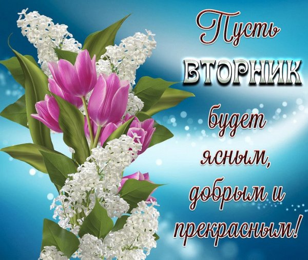 Пожелания на вторник