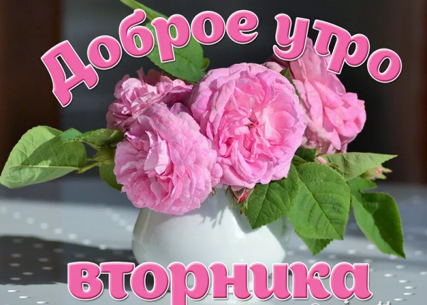 Поздравления со вторником прикольные