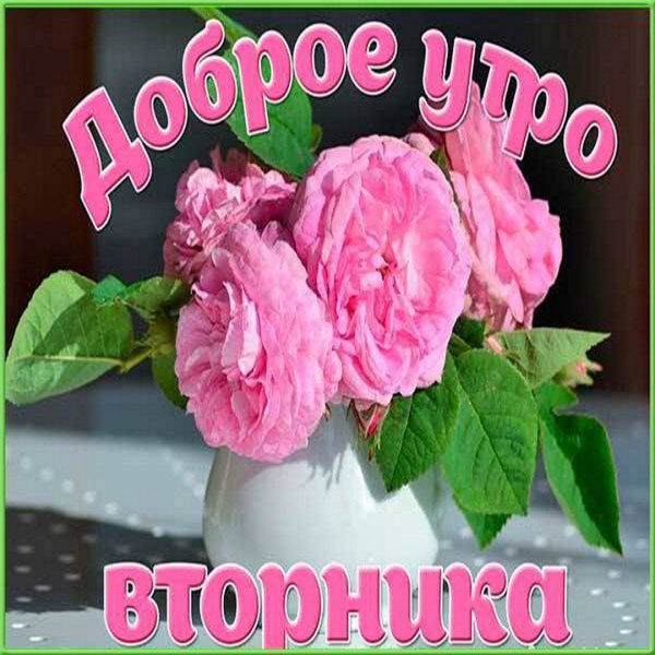 Пожелание доброго утра вторника