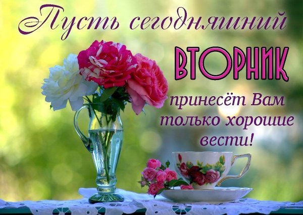 Открытки с добрым утром вторника
