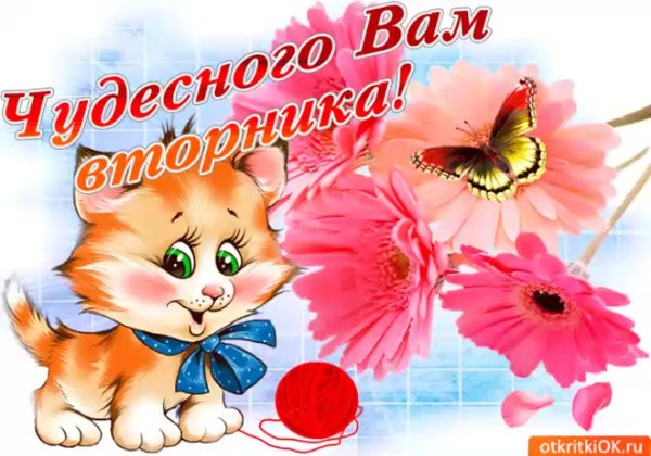 Открытки со вторником