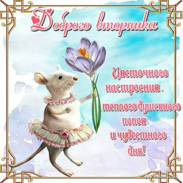 Удачного вторника