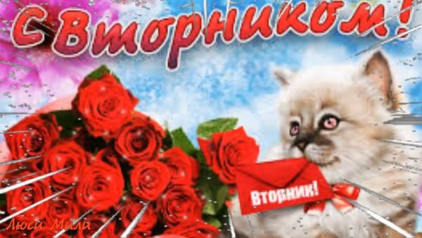 Пожелания на вторник