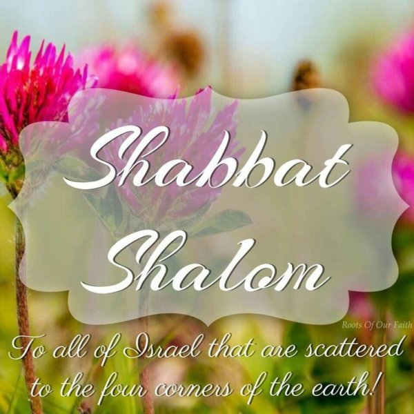 Шабат Шалом
