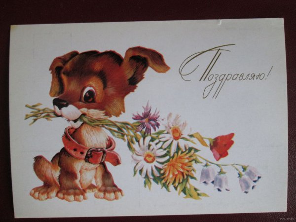 Советские открытки универсальные