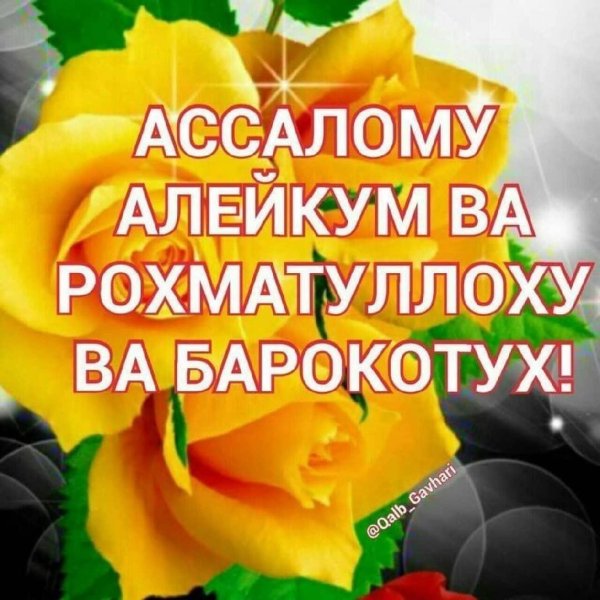 Стикер ваалейкум Салам