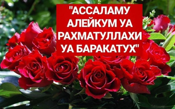 Открытки Салам алейкум